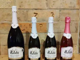 Hulata sekt
