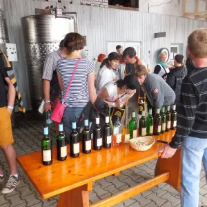 Vinařský den 2014 - 11
