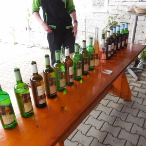 Vinařský den 2014 - 2