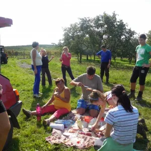 Vinobraní 2014 - 14