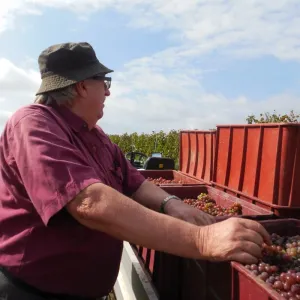 Vinobraní 2014 - 9