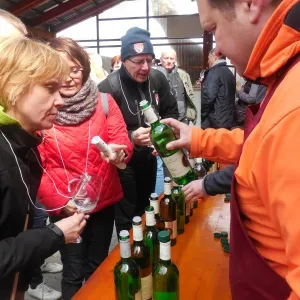 Festival otevřených sklepů -  Jaro v Modrých horách 2015 - 7