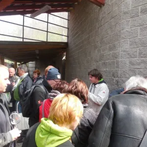 Festival otevřených sklepů -  Jaro v Modrých horách 2015 - 6