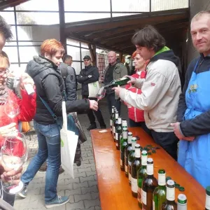 Festival otevřených sklepů -  Jaro v Modrých horách 2015 - 8