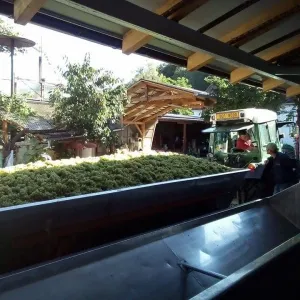 Vinobraní 2016 - 2