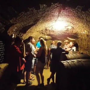 Vinařský den 2016 - 11