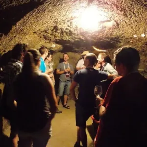 Vinařský den 2016 - 5