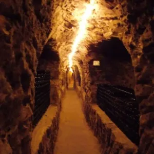 Vinařský den 2016 - 6