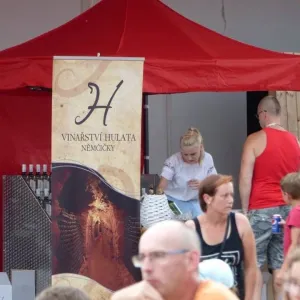 Folklórní večer Pasohlávky 20.7.2017 - 9