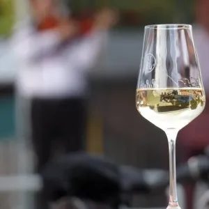 Folklórní večer Pasohlávky 20.7.2017 - 13