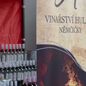 Folklórní večer Pasohlávky 20.7.2017 - 4