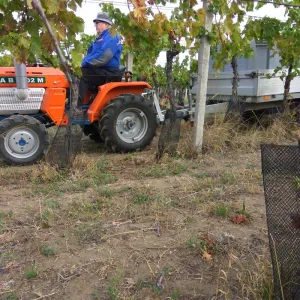 Vinobraní 2017 - 11