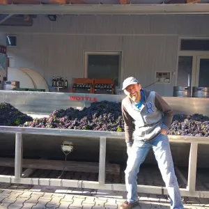 Vinobraní 2017 - 9