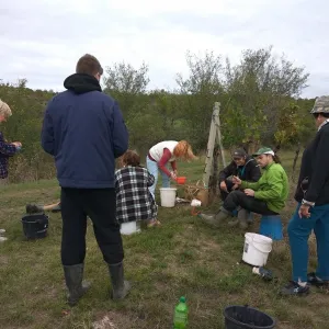 Vinobraní 2017 - 12