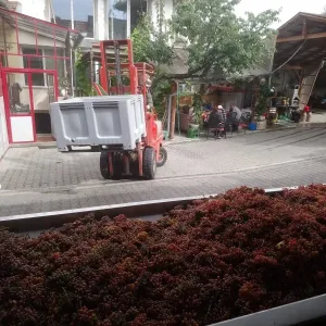 Vinobraní 2018 - 13
