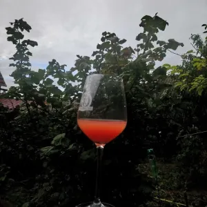 Vinobraní 2018 - 17