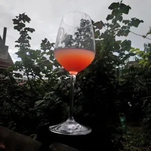 Vinobraní 2018 - 18