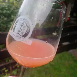 Vinobraní 2018 - 19