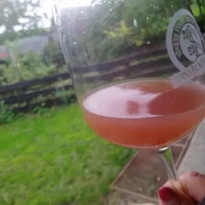 Vinobraní 2018 - 16