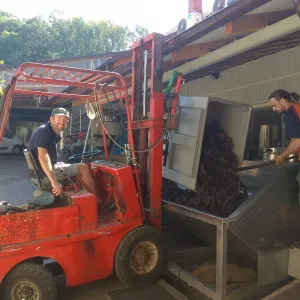Vinobraní 2018 - 22