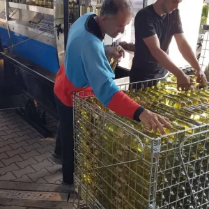 Lahvování 4.6.2019 - 13