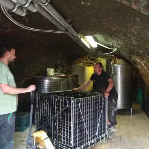 Lahvování 4.6.2019 - 17