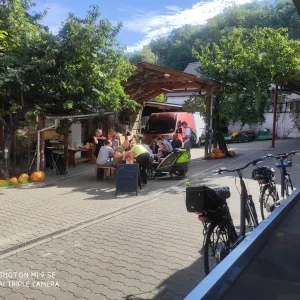Vinařský den + putování za burčákem 2020 - 12
