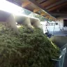 Vinobraní 2016 - 4