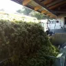 Vinobraní 2016 - 5