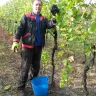 Vinobraní 2016 - 14