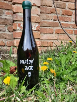 Oranžový Zajíc