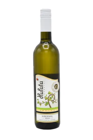 Hibernal 2024 - MZV, polosladké