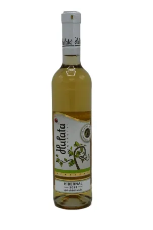 Hibernal 2023 - VZB, sladké